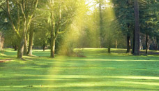 Hatfield Smith Funeral Home